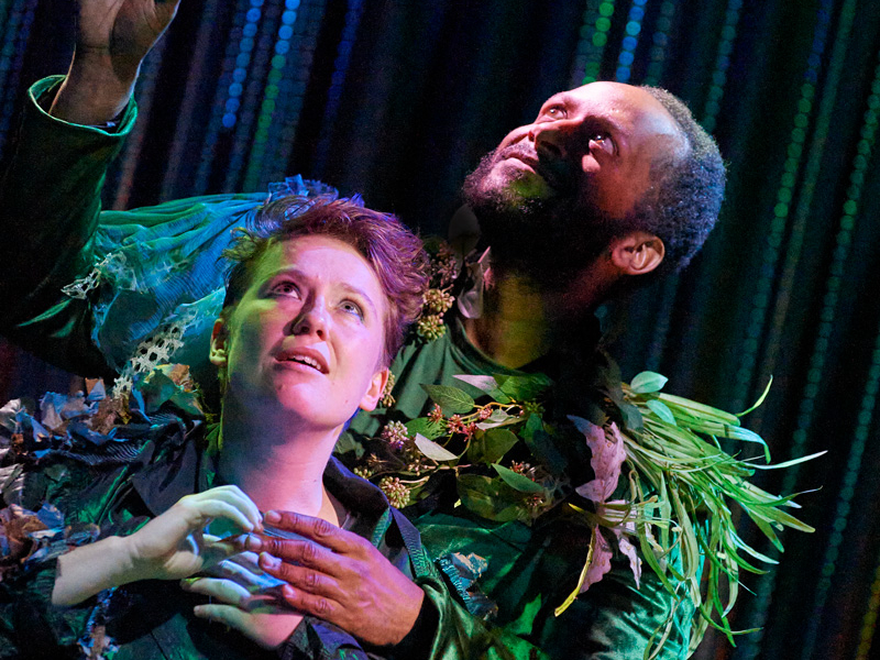 A Midsummer Night's Dream's cast on stage