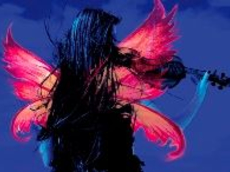 A midsummer night’s dream