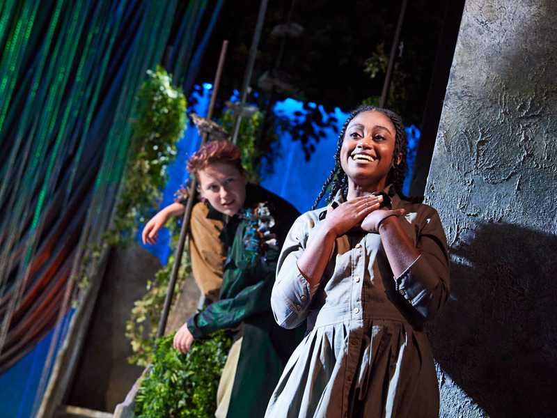 A Midsummer Night's Dream's cast on stage