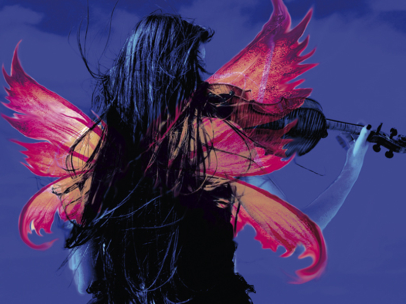 A midsummer night’s dream